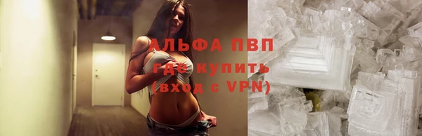 крисы Баксан